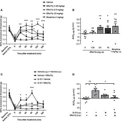 The Antitumor Peptide ERα17p Exerts Anti-Hyperalgesic and Anti-Inflammatory Actions Through GPER in Mice